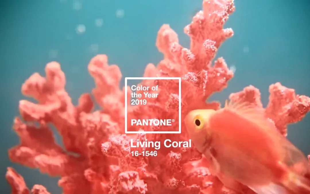 Ideas para introducir en nuestras casas Living Coral, el color Pantone del año